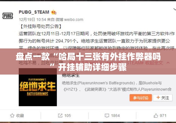 盘点一款“哈局十三张有外挂作弊器吗”开挂辅助详细步骤