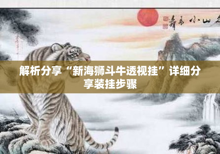 解析分享“新海狮斗牛透视挂	”详细分享装挂步骤