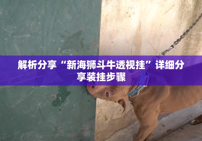 解析分享“新海狮斗牛透视挂	”详细分享装挂步骤