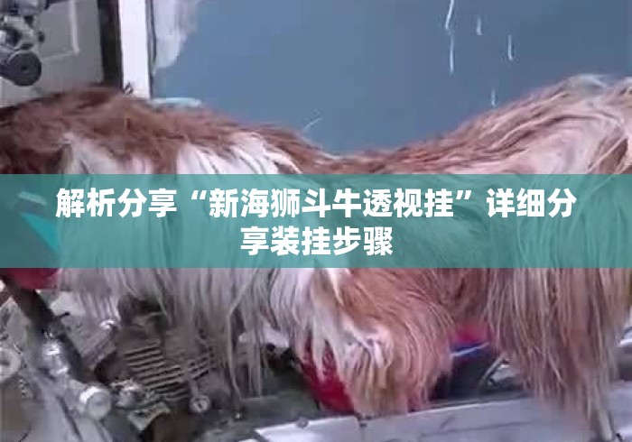 解析分享“新海狮斗牛透视挂”详细分享装挂步骤