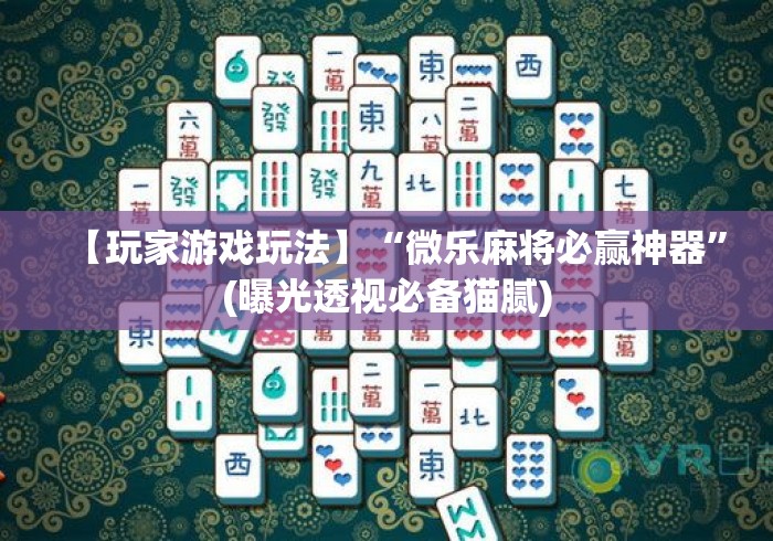 【玩家游戏玩法】“微乐麻将必赢神器”(曝光透视必备猫腻)
