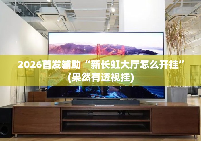 2026首发辅助“新长虹大厅怎么开挂	”(果然有透视挂)
