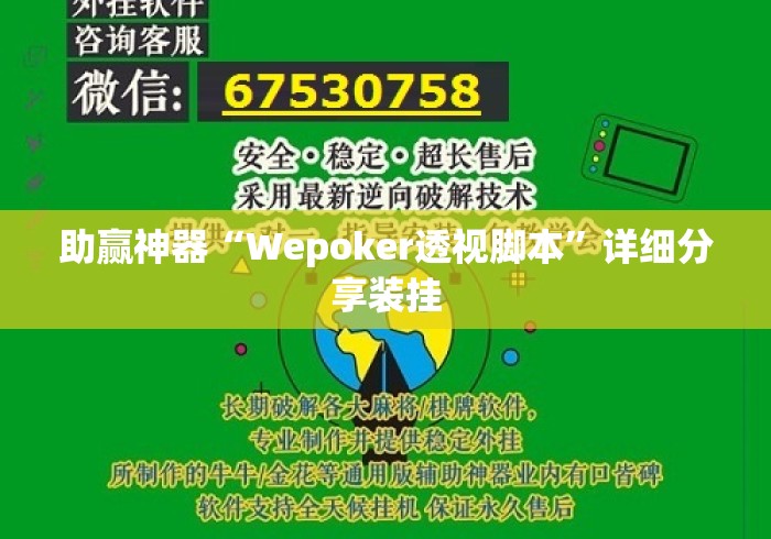 助赢神器“Wepoker透视脚本”详细分享装挂