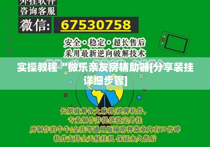 实操教程“微乐亲友房辅助器[分享装挂详细步骤]