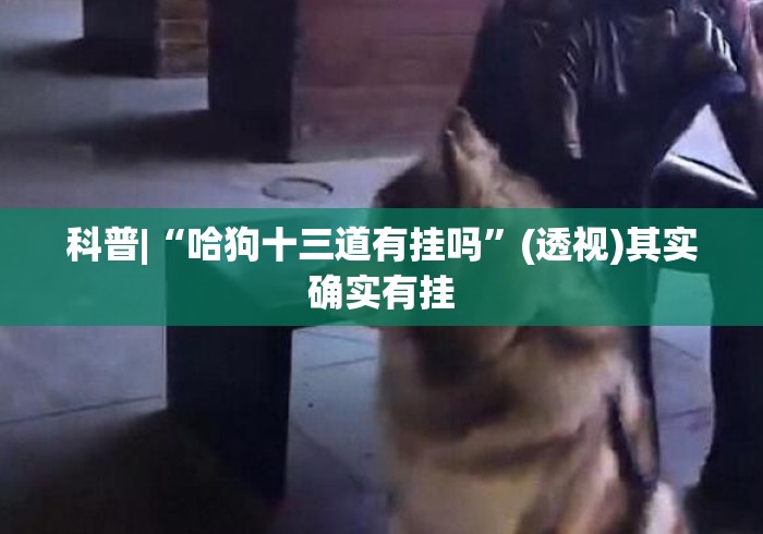科普|“哈狗十三道有挂吗”(透视)其实确实有挂