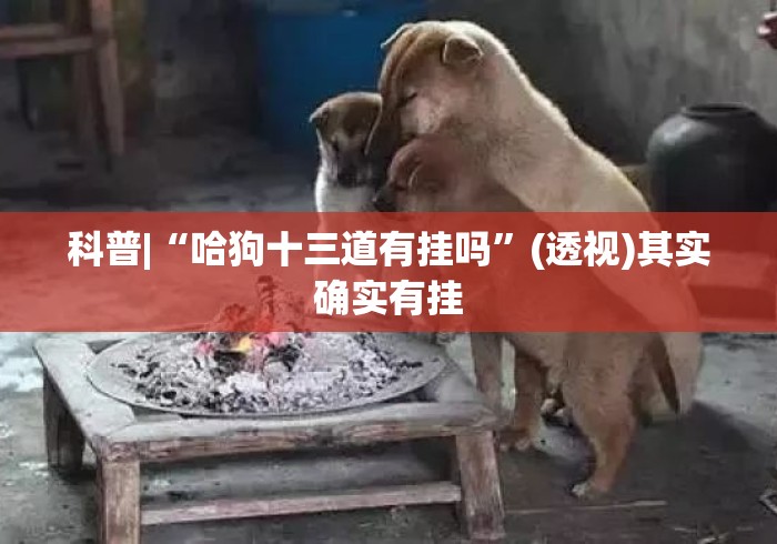 科普|“哈狗十三道有挂吗”(透视)其实确实有挂