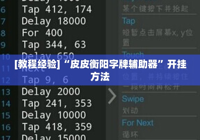 [教程经验]“皮皮衡阳字牌辅助器”开挂方法