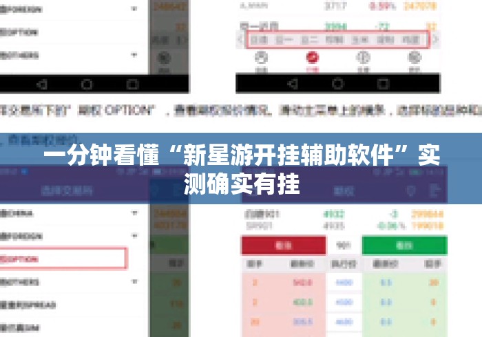 一分钟看懂“新星游开挂辅助软件”实测确实有挂