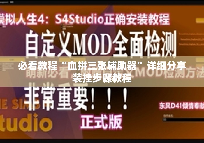 必看教程“血拼三张辅助器	”详细分享装挂步骤教程