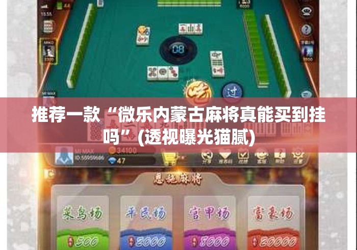 推荐一款“微乐内蒙古麻将真能买到挂吗”(透视曝光猫腻)