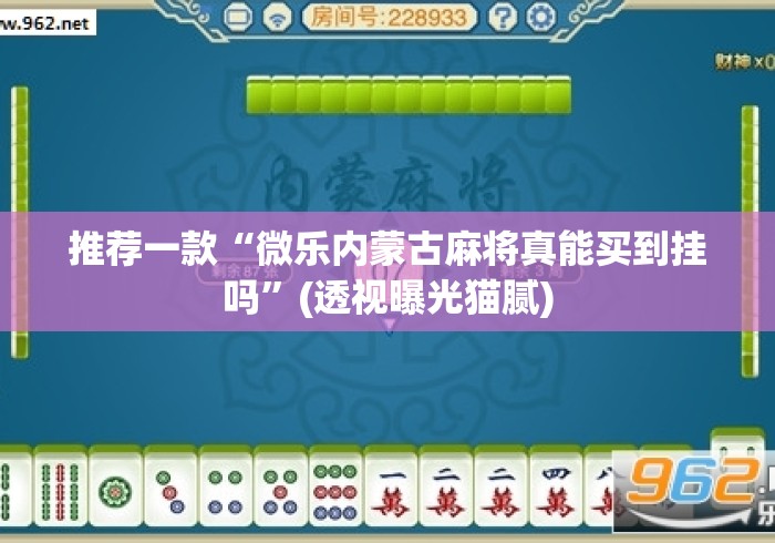 推荐一款“微乐内蒙古麻将真能买到挂吗	”(透视曝光猫腻)