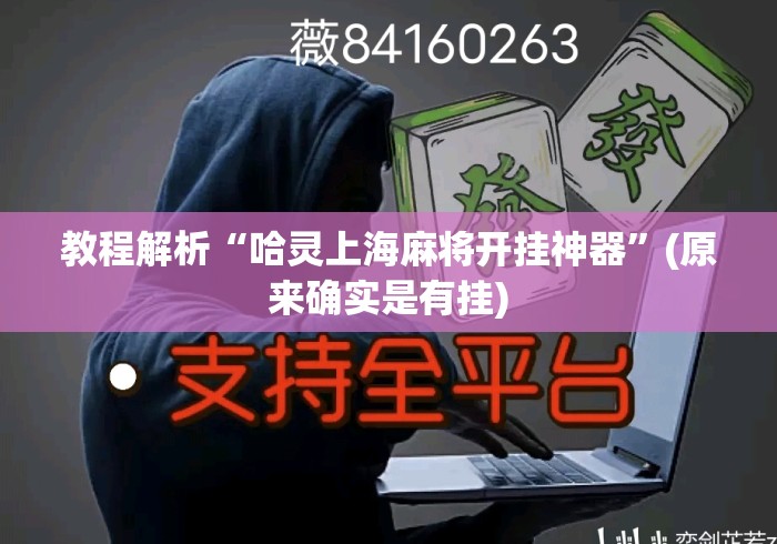 教程解析“哈灵上海麻将开挂神器”(原来确实是有挂)
