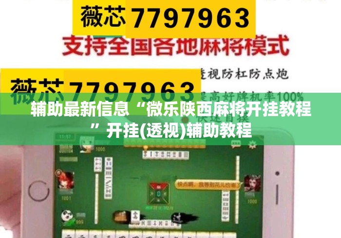 辅助最新信息“微乐陕西麻将开挂教程”开挂(透视)辅助教程