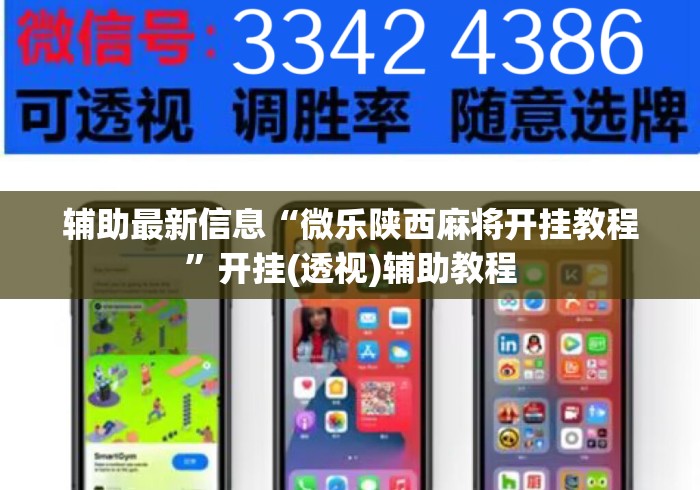 辅助最新信息“微乐陕西麻将开挂教程”开挂(透视)辅助教程