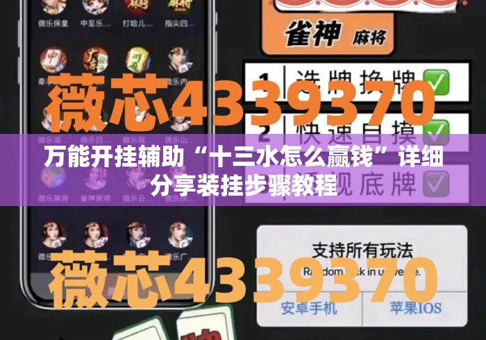 万能开挂辅助“十三水怎么赢钱”详细分享装挂步骤教程