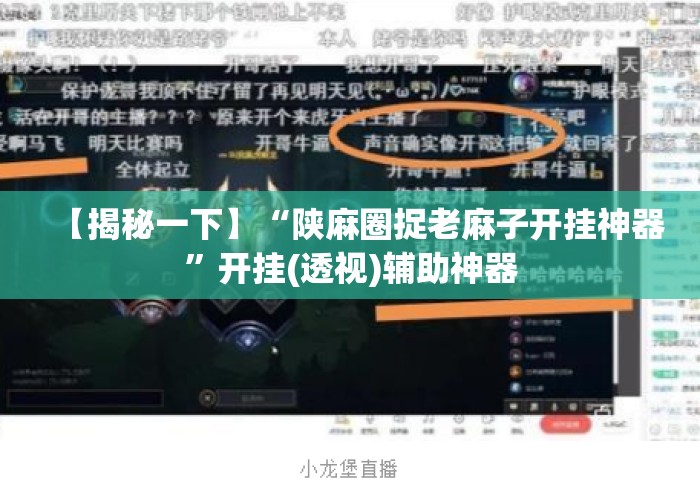【揭秘一下】“陕麻圈捉老麻子开挂神器”开挂(透视)辅助神器