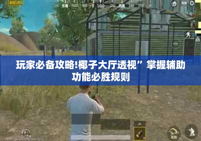 玩家必备攻略!椰子大厅透视”掌握辅助功能必胜规则