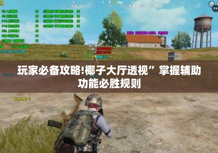 玩家必备攻略!椰子大厅透视”掌握辅助功能必胜规则