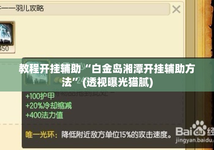 教程开挂辅助“白金岛湘潭开挂辅助方法”(透视曝光猫腻)