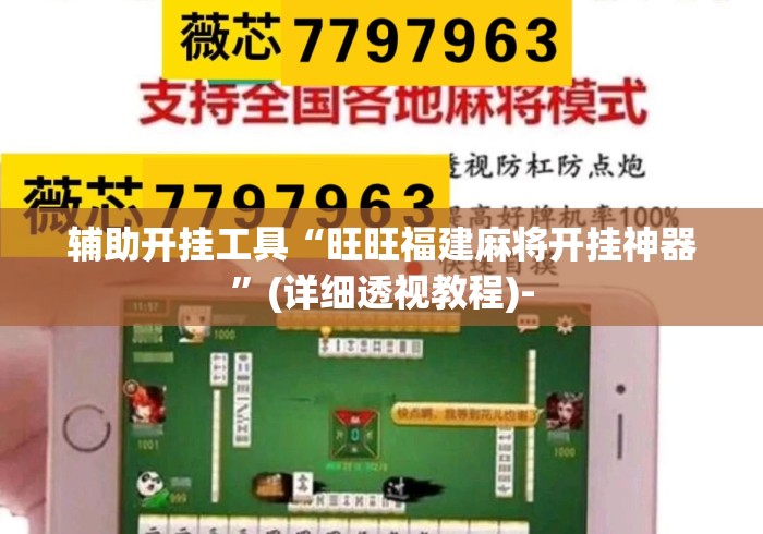 辅助开挂工具“旺旺福建麻将开挂神器”(详细透视教程)-