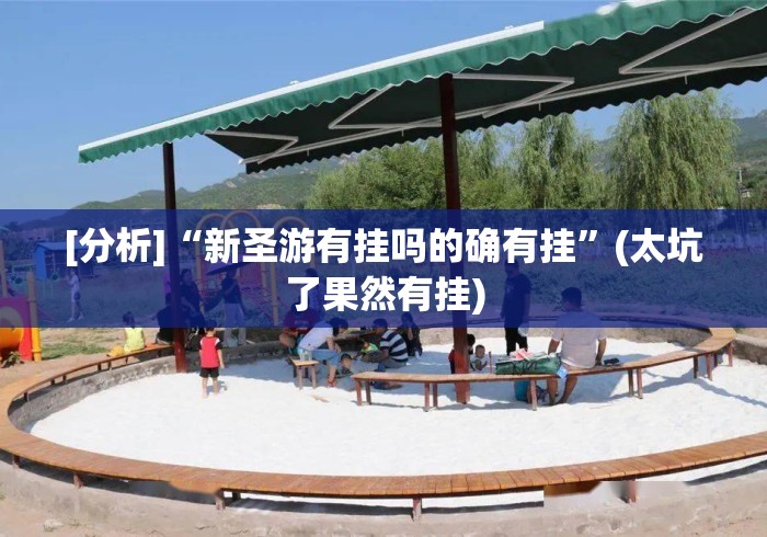 [分析]“新圣游有挂吗的确有挂	”(太坑了果然有挂)