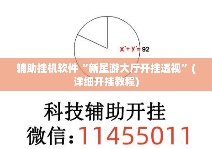 辅助挂机软件“新星游大厅开挂透视”(详细开挂教程)