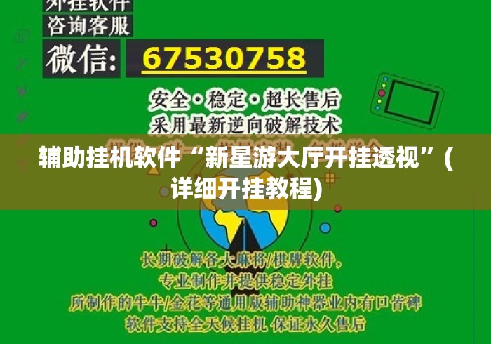 辅助挂机软件“新星游大厅开挂透视”(详细开挂教程)