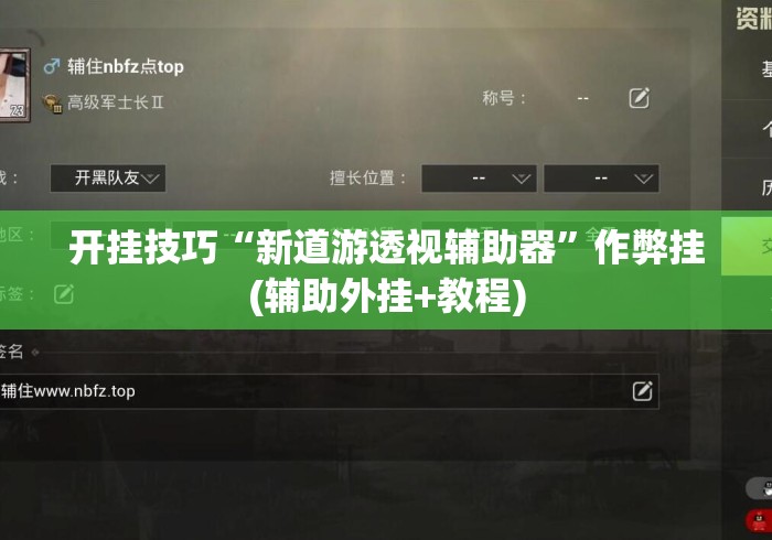 开挂技巧“新道游透视辅助器”作弊挂(辅助外挂+教程)