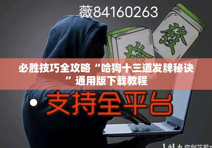 必胜技巧全攻略“哈狗十三道发牌秘诀”通用版下载教程