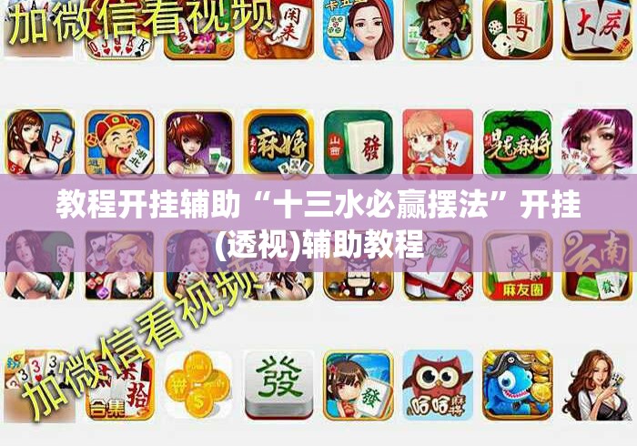 教程开挂辅助“十三水必赢摆法	”开挂(透视)辅助教程