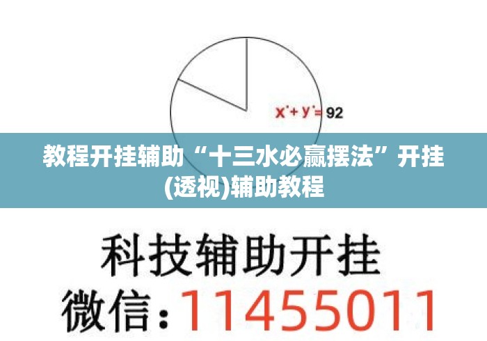教程开挂辅助“十三水必赢摆法”开挂(透视)辅助教程