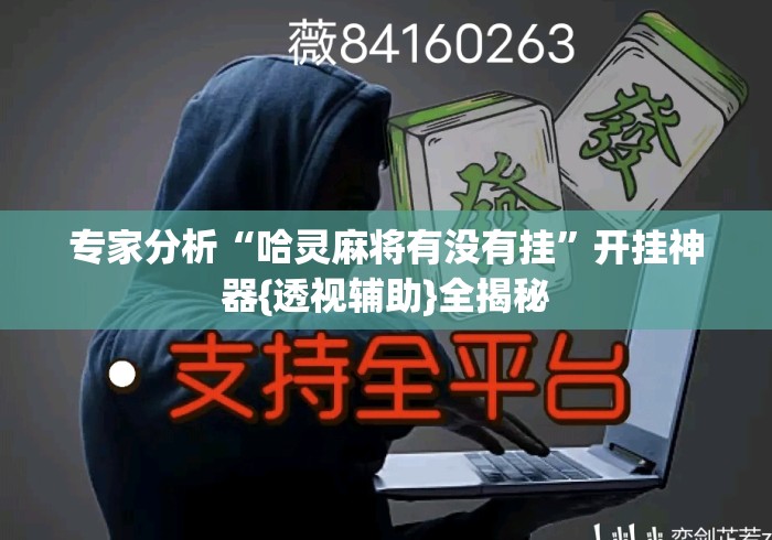 专家分析“哈灵麻将有没有挂”开挂神器{透视辅助}全揭秘
