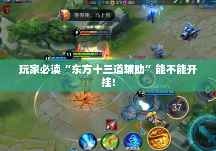 玩家必读“东方十三道辅助	”能不能开挂!