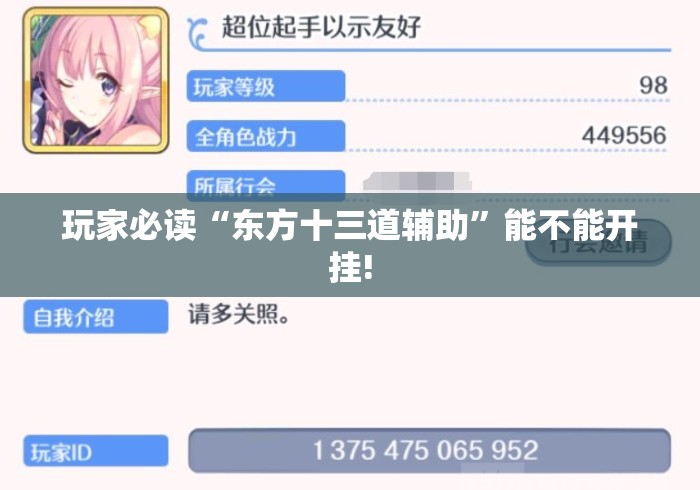 玩家必读“东方十三道辅助”能不能开挂!