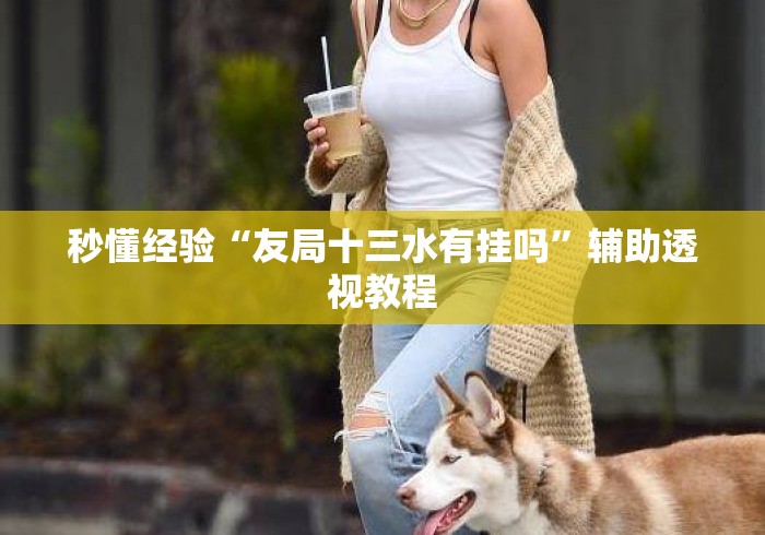 秒懂经验“友局十三水有挂吗”辅助透视教程