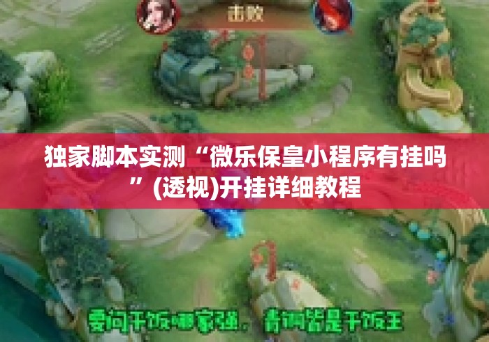 独家脚本实测“微乐保皇小程序有挂吗”(透视)开挂详细教程