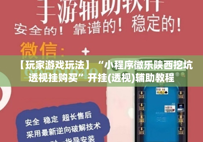 【玩家游戏玩法】“小程序微乐陕西挖坑透视挂购买”开挂(透视)辅助教程