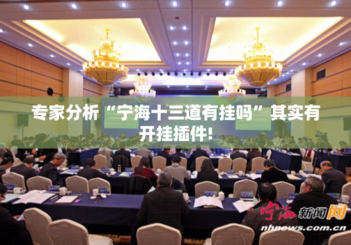 专家分析“宁海十三道有挂吗”其实有开挂插件!