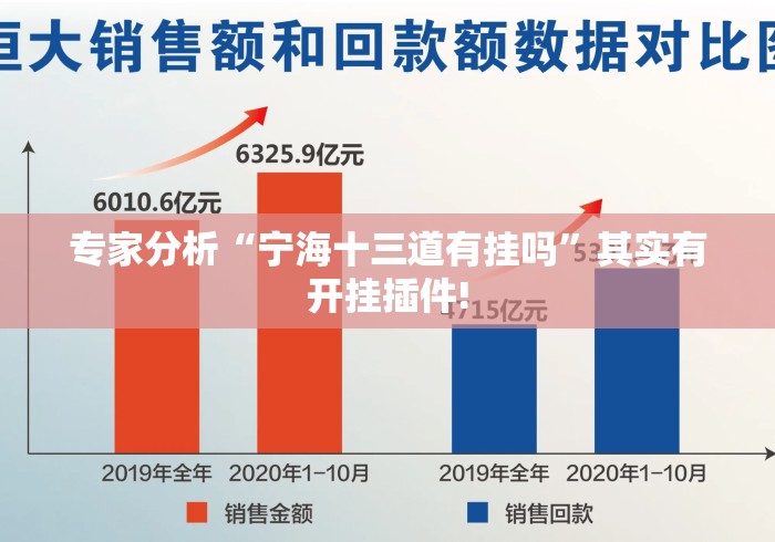 专家分析“宁海十三道有挂吗”其实有开挂插件!