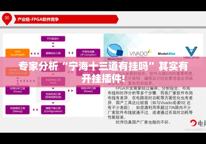 专家分析“宁海十三道有挂吗”其实有开挂插件!