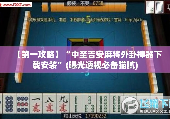 【第一攻略】“中至吉安麻将外卦神器下载安装”(曝光透视必备猫腻)