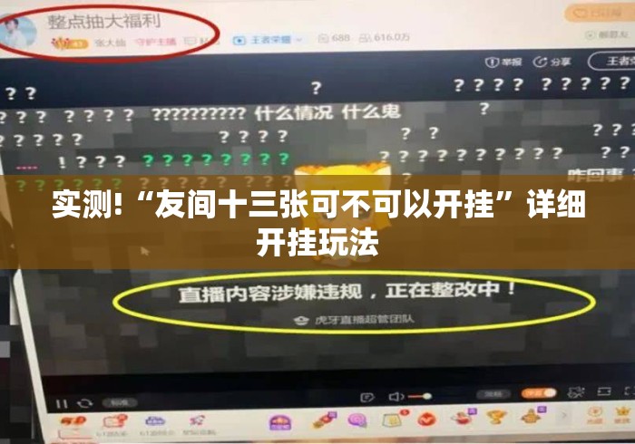 实测!“友间十三张可不可以开挂”详细开挂玩法