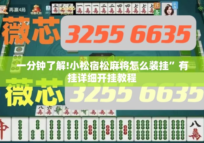 一分钟了解!小松宿松麻将怎么装挂”有挂详细开挂教程