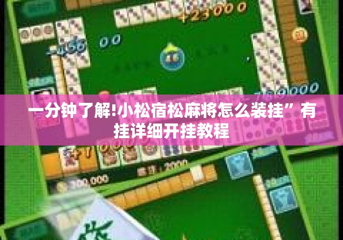 一分钟了解!小松宿松麻将怎么装挂”有挂详细开挂教程