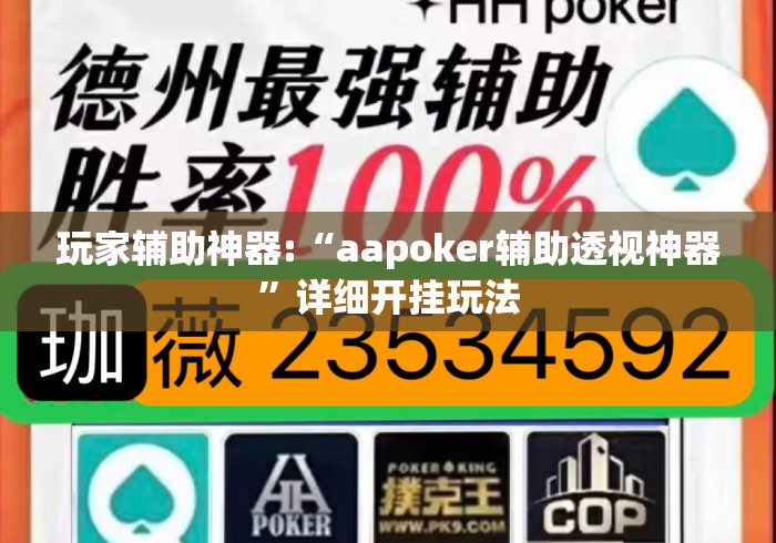 玩家辅助神器:“aapoker辅助透视神器”详细开挂玩法