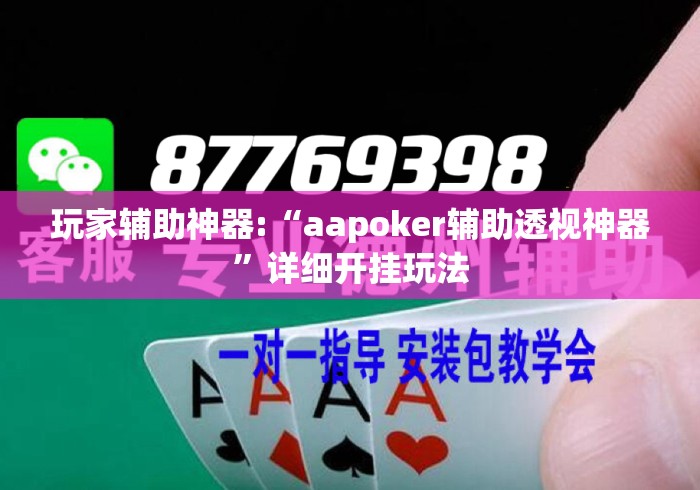 玩家辅助神器:“aapoker辅助透视神器”详细开挂玩法