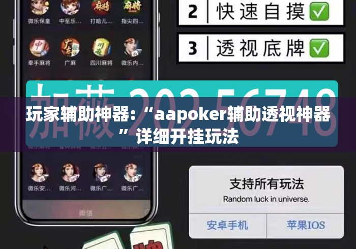 玩家辅助神器:“aapoker辅助透视神器	”详细开挂玩法