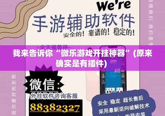 我来告诉你“微乐游戏开挂神器”(原来确实是有插件) 