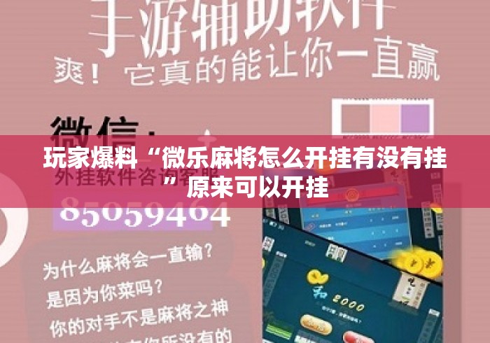玩家爆料“微乐麻将怎么开挂有没有挂	”原来可以开挂