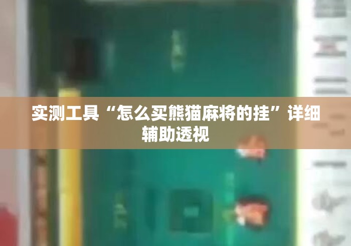 实测工具“怎么买熊猫麻将的挂”详细辅助透视